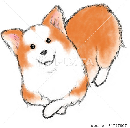 コーギー　ウェルシュコーギー　犬　犬の絵　原画　絵画　鉛筆画　手描き　イラスト まなざし - ウェルシュコーギー犬の子犬 No.4】アートポスター