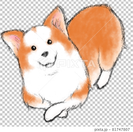 コーギー　ウェルシュコーギー　犬　犬の絵　原画　絵画　鉛筆画　手描き　イラスト repost No.9】 子犬 ／ 色鉛筆、パンパステル 2022.1 #子犬 #犬
