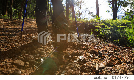 Woman hiking in summer forest mountain Woman hiking in summer forest mountain 81747950