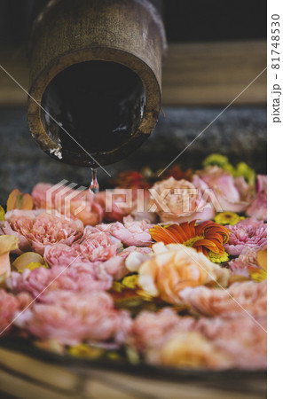 野見神社の花手水 野見神社の花手水 81748530