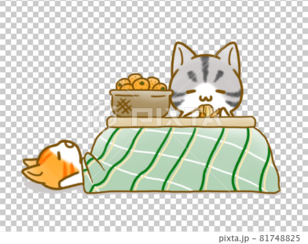 こたつとミカンと猫 81748825