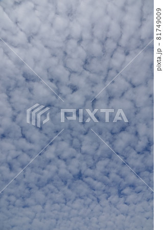 秋の澄み切った空に突如ウロコ雲が出現しました。秋らしい空だなぁと感じました。 秋の澄み切った空に突如ウロコ雲が出現しました。秋らしい空だなぁと感じました。 81749009