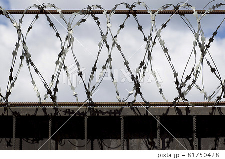Barbed wire wound to the top of a fence, Russia 81750428