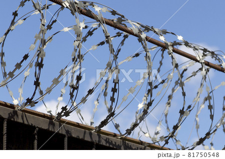 Barbed wire wound to the top of a fence, Russia 81750548