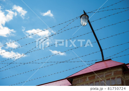 Barbed wire on the fence of the prison against the blue sky 81750724