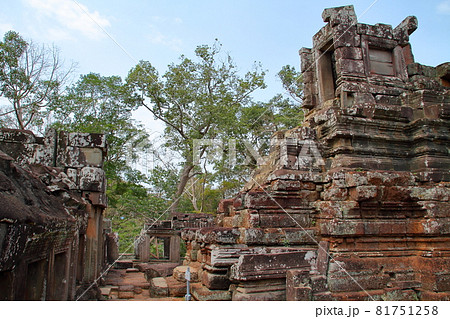 カンボジア シェムリアップ　世界遺産アンコールトム遺跡群のプリアピトゥ寺院 81751258