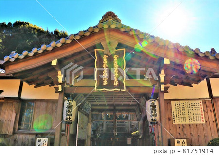 丹生酒殿神社。秋の風景　大銀杏 81751914