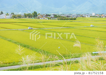 田舎の風景【夏の安曇野】 81752158