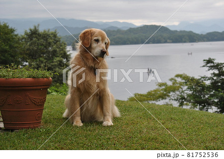 檜原湖と犬 81752536