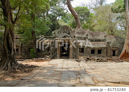カンボジア シェムリアップ　世界遺産アンコールトム周辺遺跡群のタプローム寺院東門 81753280