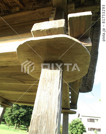 ＜登呂遺跡＞高床式倉庫のねずみ返し 81753293