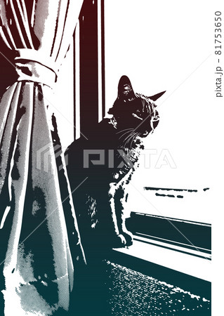 猫 ネコ ねこ キジトラ 白 グレー 子猫 雌 メス 雌ねこ 雌ネコ 雌猫 元気 かわいい 癒し 猫 ネコ ねこ キジトラ 白 グレー 子猫 雌 メス 雌ねこ 雌ネコ 雌猫 元気 かわいい 癒し 81753650