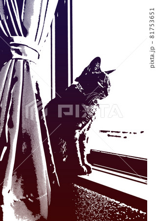 猫 ネコ ねこ キジトラ 白 グレー 子猫 雌 メス 雌ねこ 雌ネコ 雌猫 元気 かわいい 癒し 猫 ネコ ねこ キジトラ 白 グレー 子猫 雌 メス 雌ねこ 雌ネコ 雌猫 元気 かわいい 癒し 81753651