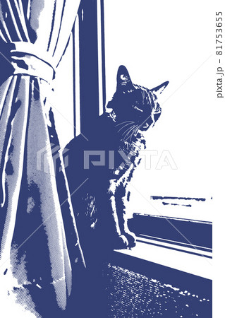 猫 ネコ ねこ キジトラ 白 グレー 子猫 雌 メス 雌ねこ 雌ネコ 雌猫 元気 かわいい 癒し 81753655