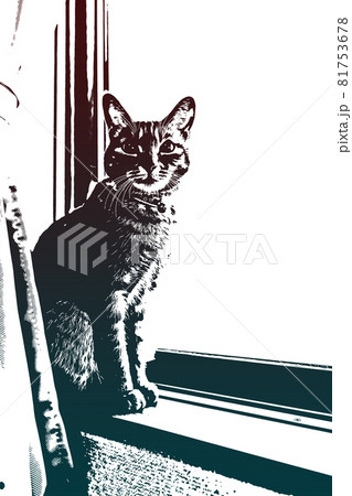 猫 ネコ ねこ キジトラ 白 グレー 子猫 雌 メス 雌ねこ 雌ネコ 雌猫 元気 かわいい 癒し 猫 ネコ ねこ キジトラ 白 グレー 子猫 雌 メス 雌ねこ 雌ネコ 雌猫 元気 かわいい 癒し 81753678