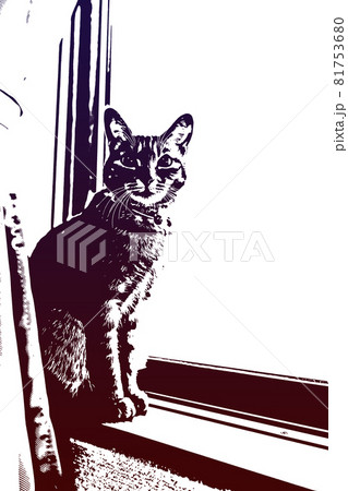 猫 ネコ ねこ キジトラ 白 グレー 子猫 雌 メス 雌ねこ 雌ネコ 雌猫 元気 かわいい 癒し 猫 ネコ ねこ キジトラ 白 グレー 子猫 雌 メス 雌ねこ 雌ネコ 雌猫 元気 かわいい 癒し 81753680