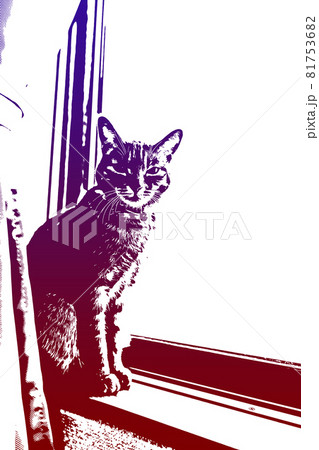 猫 ネコ ねこ キジトラ 白 グレー 子猫 雌 メス 雌ねこ 雌ネコ 雌猫 元気 かわいい 癒し 猫 ネコ ねこ キジトラ 白 グレー 子猫 雌 メス 雌ねこ 雌ネコ 雌猫 元気 かわいい 癒し 81753682