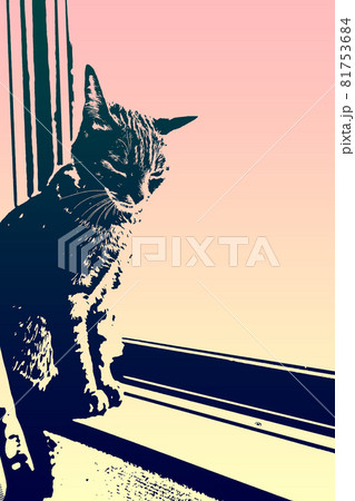 猫 ネコ ねこ キジトラ 白 グレー 子猫 雌 メス 雌ねこ 雌ネコ 雌猫 元気 かわいい 癒し 猫 ネコ ねこ キジトラ 白 グレー 子猫 雌 メス 雌ねこ 雌ネコ 雌猫 元気 かわいい 癒し 81753684