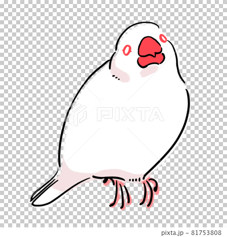 Relaxed white finch Relaxed white finch 81753808