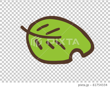 1 green leaf / hand-drawn illustration 1 green leaf / hand-drawn illustration 81754334