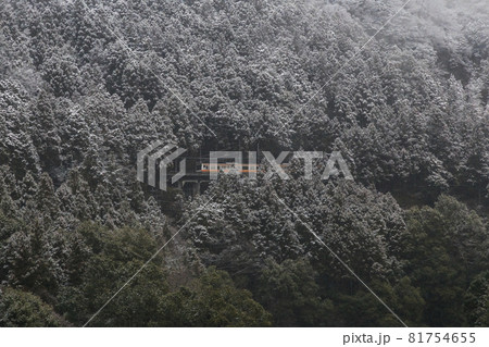 奥多摩　数馬峡の冬景と青梅線　1月 81754655