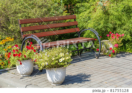 Comfortable wooden bench in the summer city park 81755128