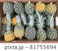 配送用段ボールに箱詰めされた名産品パイナップルの画像 81755694