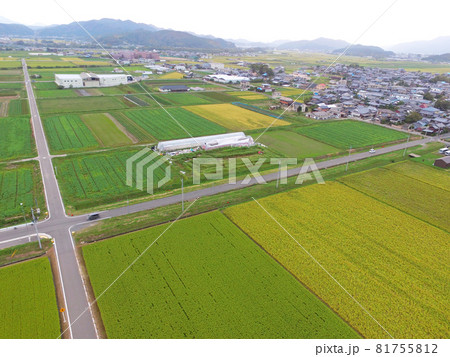 【ドローン空撮・京都府　秋の亀岡　田園風景】京都府亀岡市　色ずく稲穂　秋イメージ 81755812