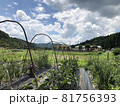 畑 81756393