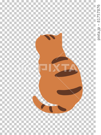 猫の後ろ姿-トラ猫 81757876