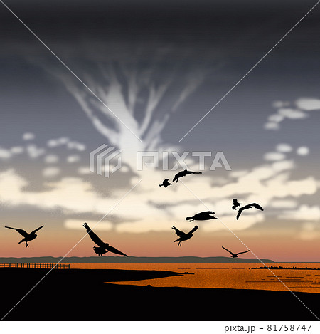 綺麗な夕やけ 夕暮れ ー 海 鳥のイラスト素材
