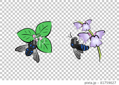 Blue Bee 81759027