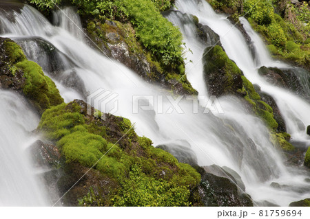 羊蹄山の湧水 羊蹄山の湧水 81759694