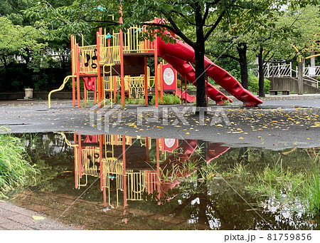 雨上がりの公園 81759856