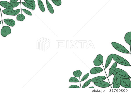 Plant vector illustration with white background 81760300