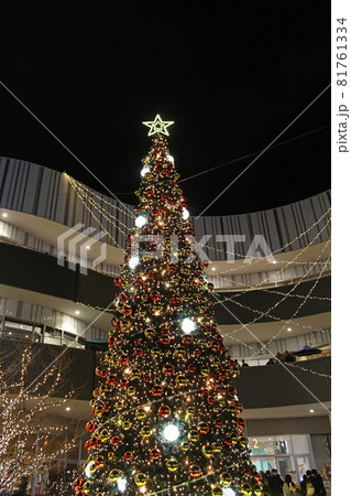 クリスマスツリー 81761334