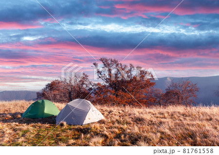 Two tents on amazing meadow in autumn mountains 81761558