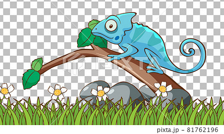 Chameleon On The Grass Field On Transparent のイラスト素材