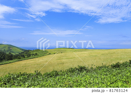 宗谷丘陵の白い道 宗谷丘陵の白い道 81763124