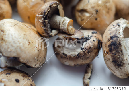 Raw and fresh mushrooms on a white background, vegetables from an organic farm 81763336