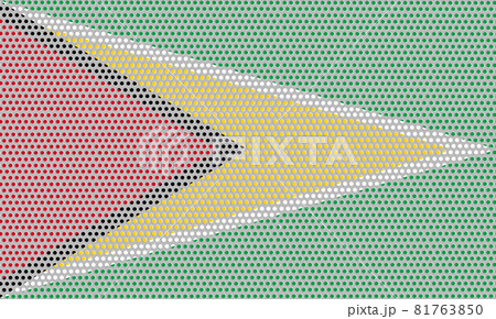 3D Flag of Guyana on metal 81763850