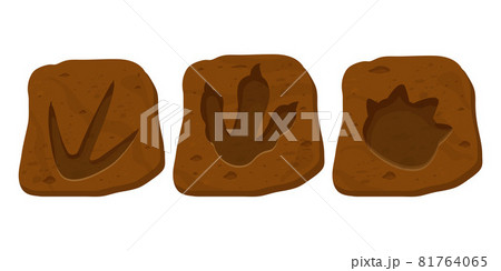 Set dinosaur fossil, paw print, reptile foot trail in cartoon style isolated on white background. Archaeological and paleontology finds.  81764065