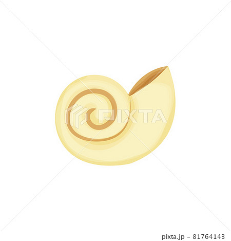 Amonite Shell Fossil Prehistoric Creature In のイラスト素材
