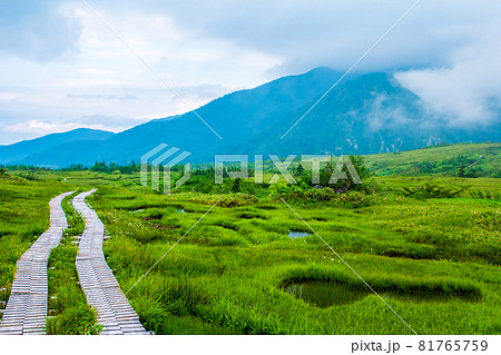 北アルプス 弥陀ヶ原から望む絶景 北アルプス 弥陀ヶ原から望む絶景 81765759