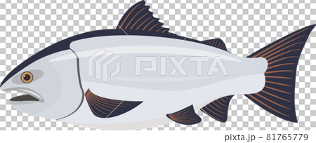 Cherry blossom 81765779