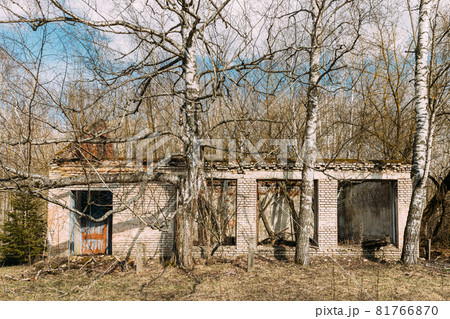 Abandoned Ruined Old Village House In Chernobyl Resettlement Zone. Belarus. Chornobyl Catastrophe Disasters. Dilapidated House In Belarusian Village. Whole Villages Must Be Disposed. Radioactivity 81766870