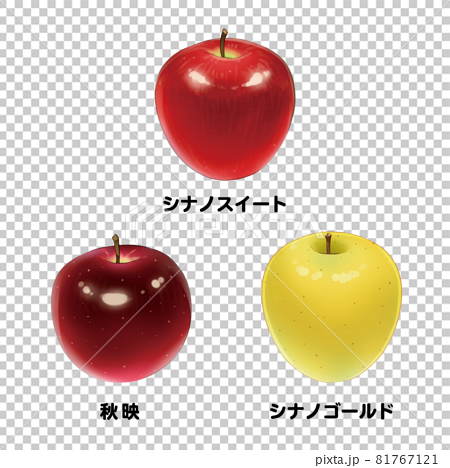 長野県生まれのりんご3種類 シナノスイート 秋映 シナノゴールド のイラスト素材