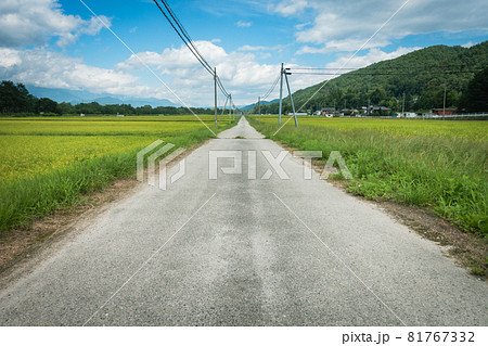 田舎の一本道【夏の大町市】 田舎の一本道【夏の大町市】 81767332