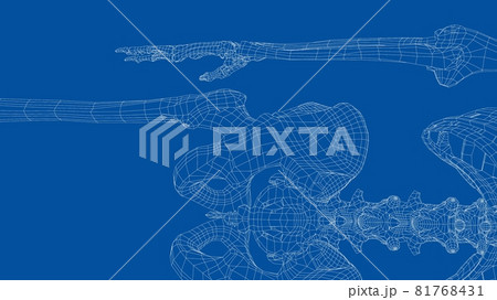 Human skeleton. Vector Human skeleton. Vector 81768431