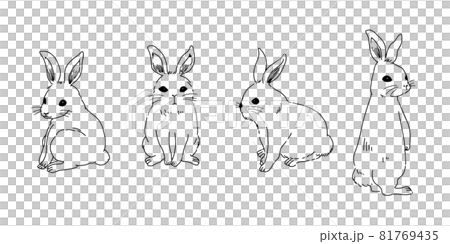一隻簡單的兔子，只有線條畫 81769435